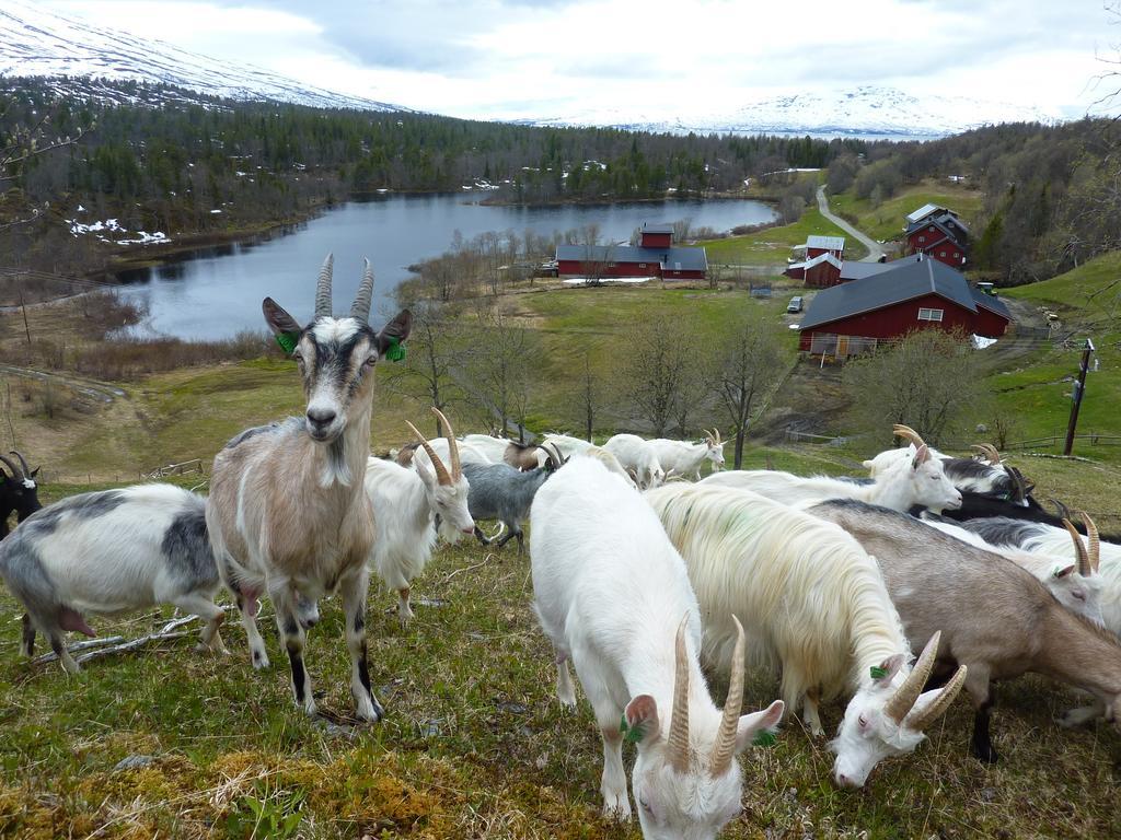 Saeterstad Gard Varntresk Buitenkant foto