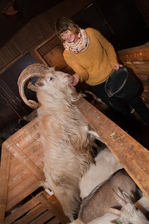 Saeterstad Gard Varntresk Buitenkant foto