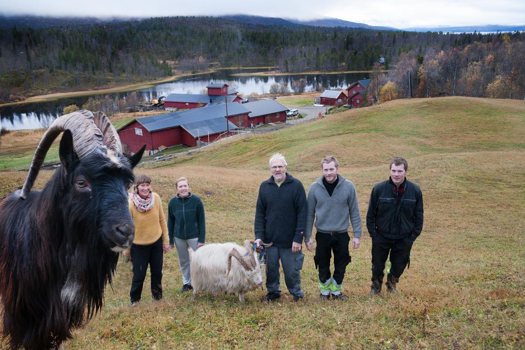 Saeterstad Gard Varntresk Buitenkant foto