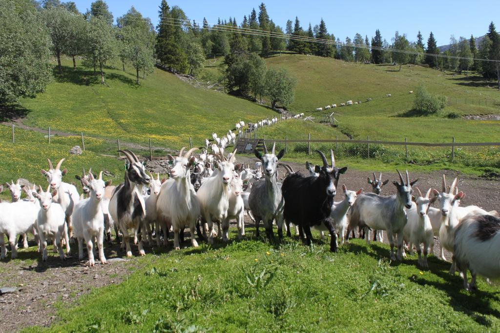 Saeterstad Gard Varntresk Buitenkant foto